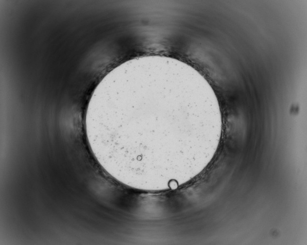 X0000103910320200810311438