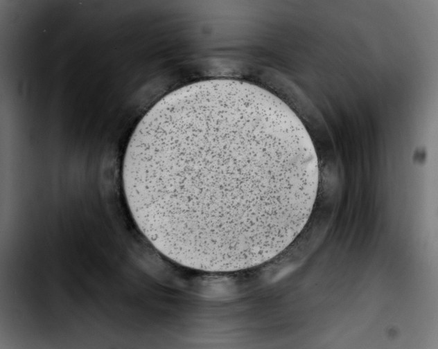 X0000103910322200810311438