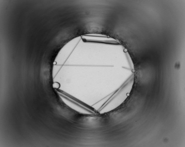 X0000103910323200810311438
