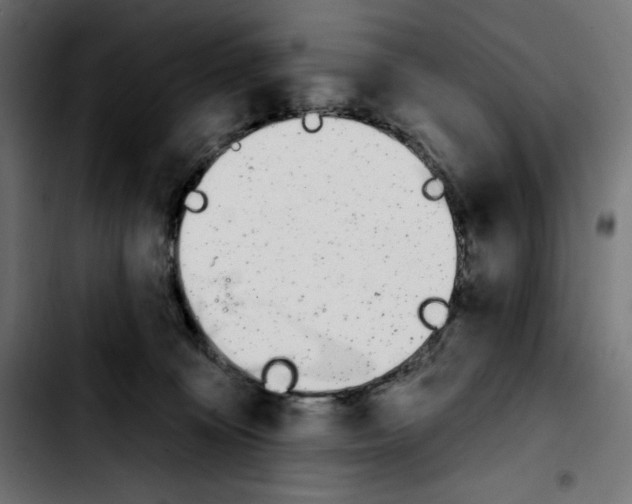X0000103910324200810311438