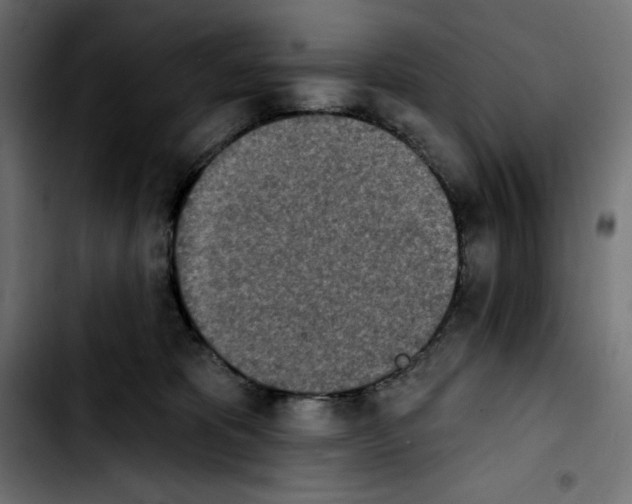 X0000103910325200810311438