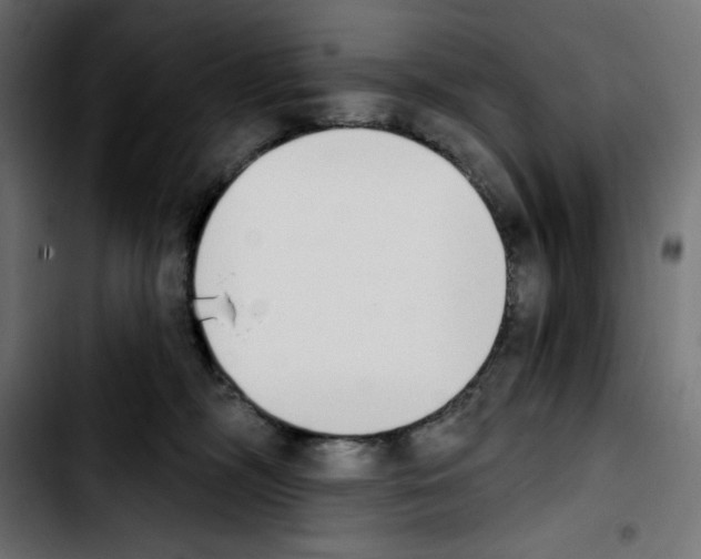 X0000103910326200810311438