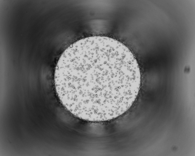 X0000103910327200810311438