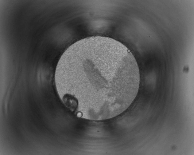 X0000103910328200810311438