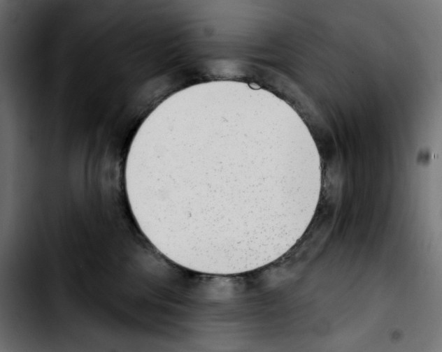 X0000103910330200810311438