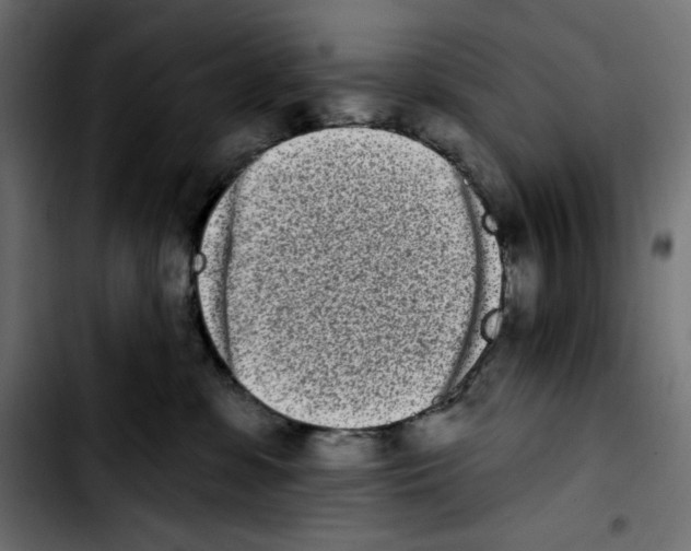 X0000103910331200810311438