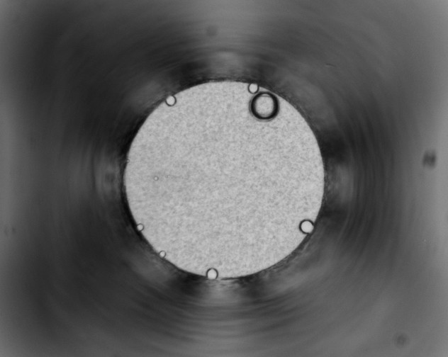 X0000103910333200810311438