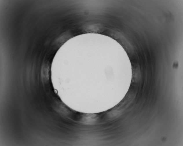 X0000103910334200810311438