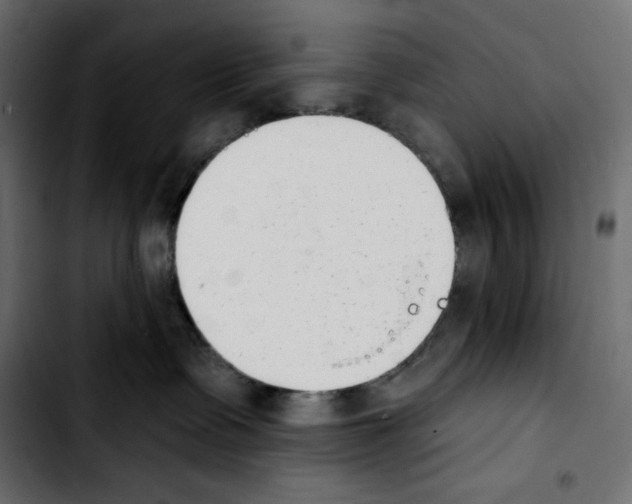 X0000103910335200810311438