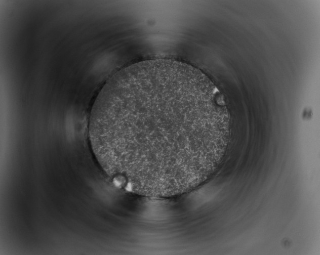 X0000103910336200810311438