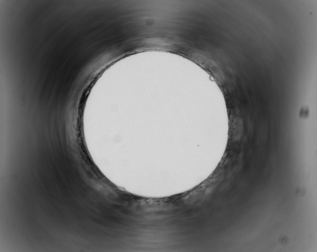 X0000103910338200810311437