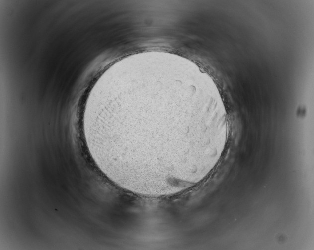 X0000103910339200810311437
