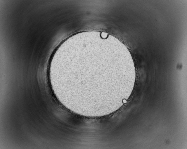 X0000103910340200810311437
