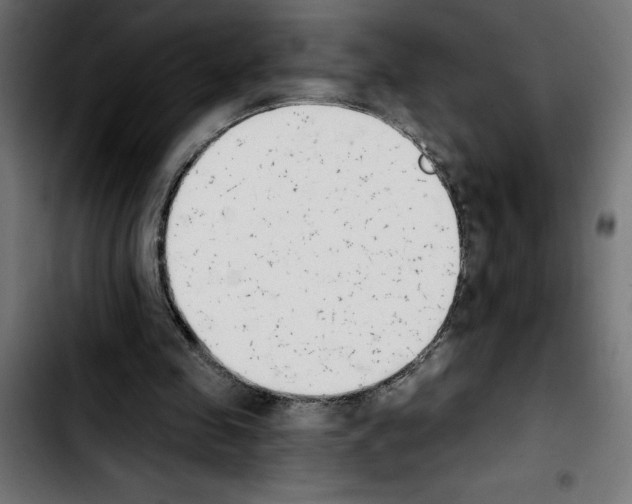 X0000103910341200810311437