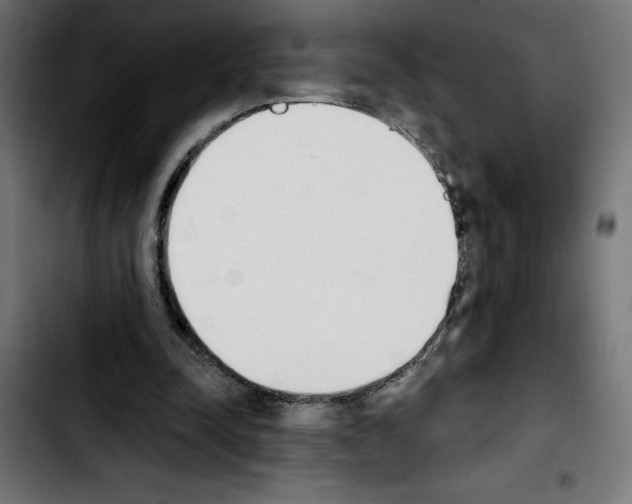 X0000103910342200810311437