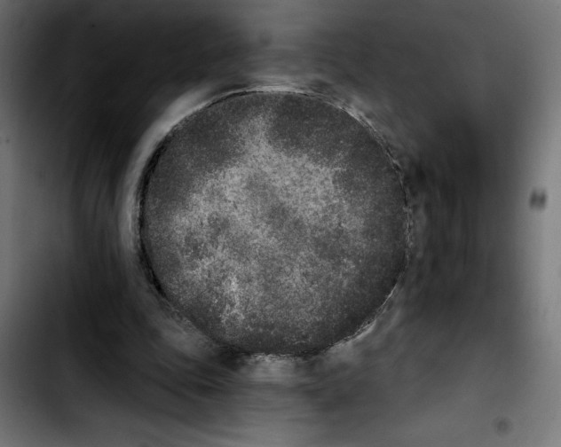 X0000103910343200810311437