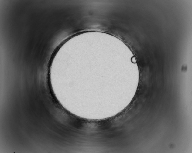 X0000103910344200810311437