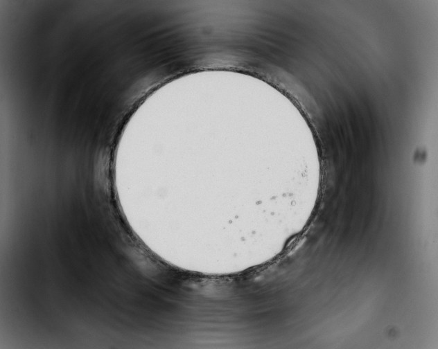X0000103910345200810311437