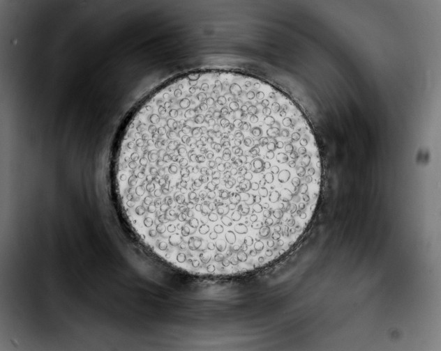 X0000103910346200810311437