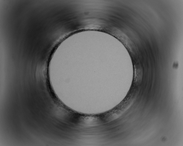 X0000103910348200810311437