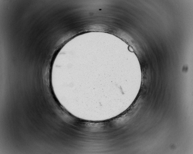 X0000103910349200810311437