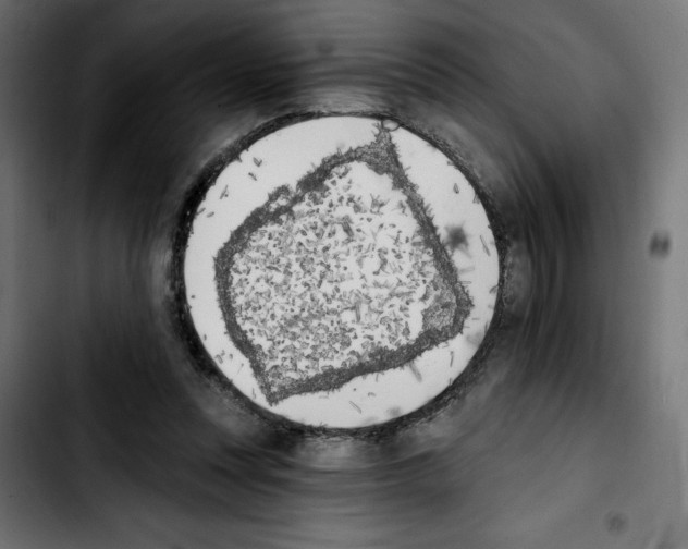 X0000103910351200810311437