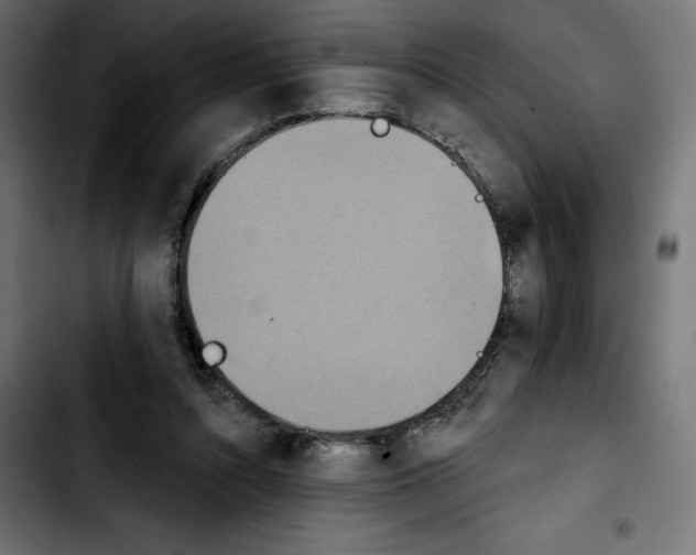 X0000103910352200810311437