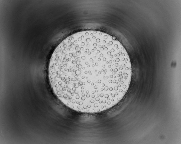 X0000103910354200810311437