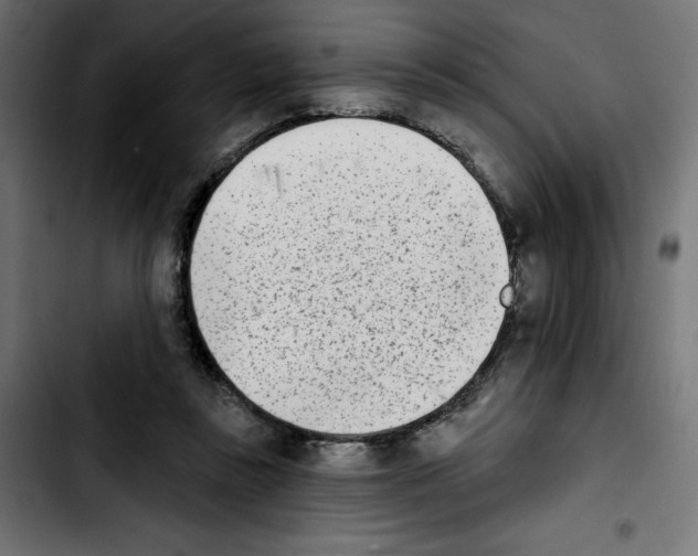 X0000103910355200810311437