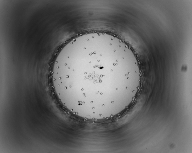 X0000103910356200810311437
