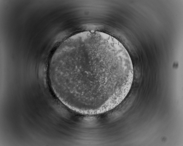 X0000103910357200810311437