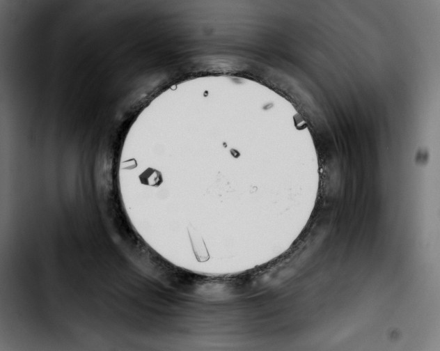 X0000103910358200810311437