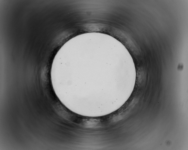 X0000103910359200810311437