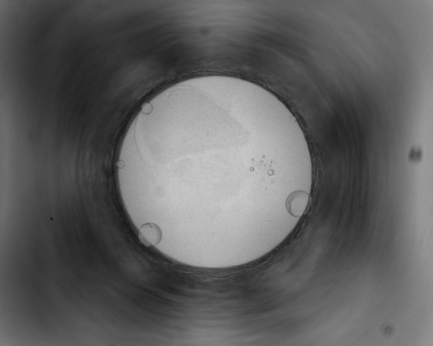 X0000103910360200810311437