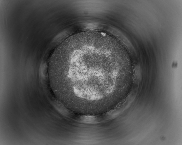 X0000103910361200810311437