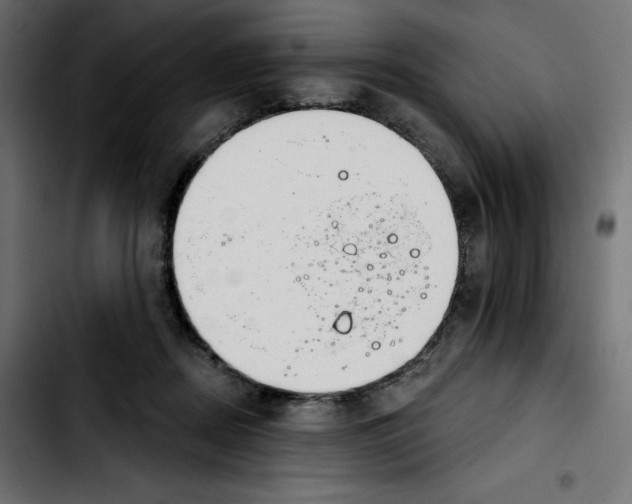X0000103910362200810311437