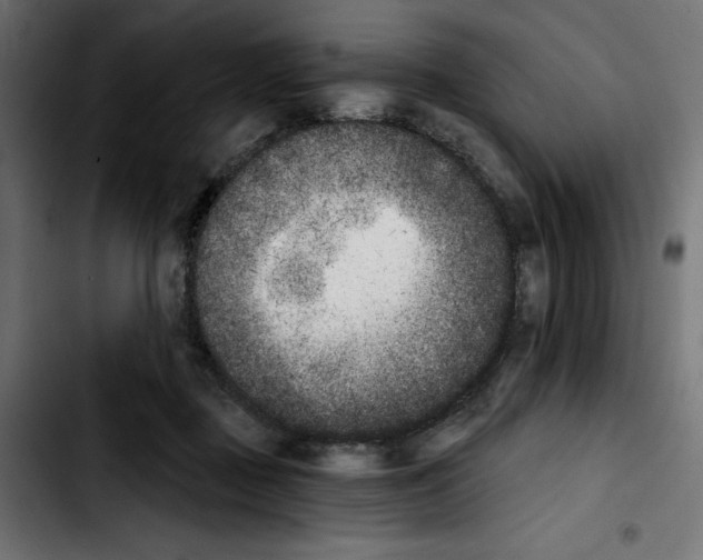 X0000103910363200810311437