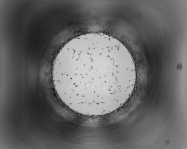 X0000103910364200810311437