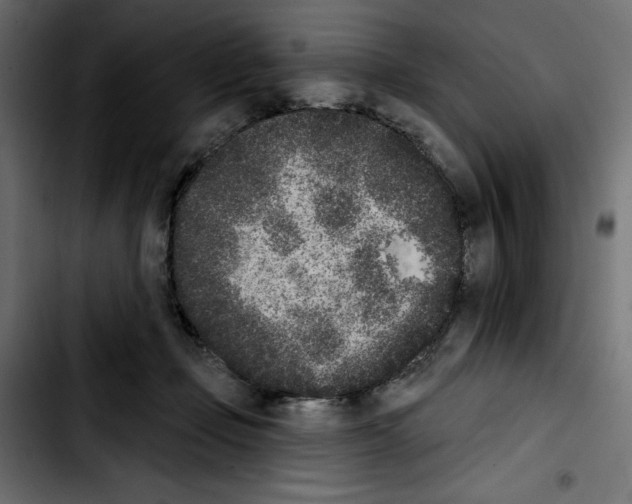 X0000103910365200810311437