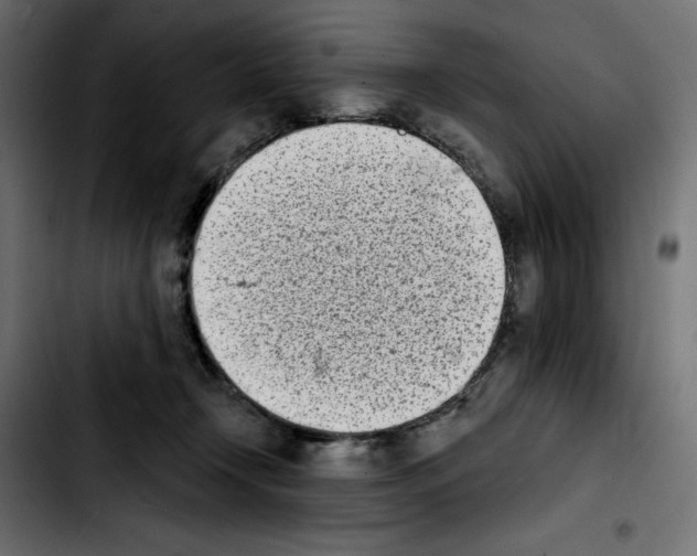 X0000103910366200810311437