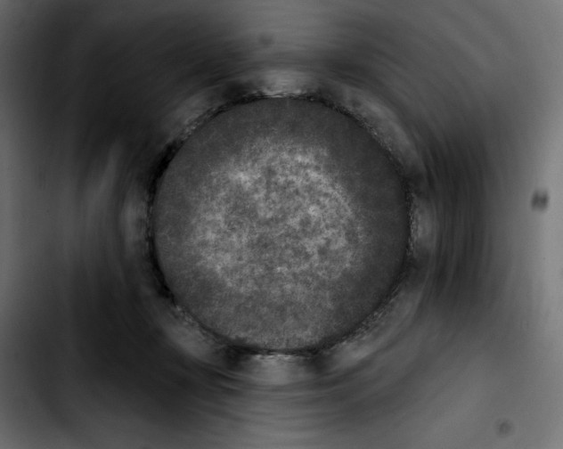 X0000103910367200810311437