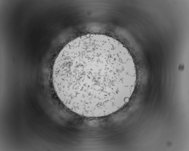 X0000103910368200810311437