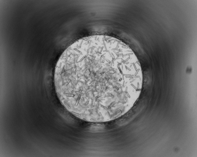 X0000103910369200810311437