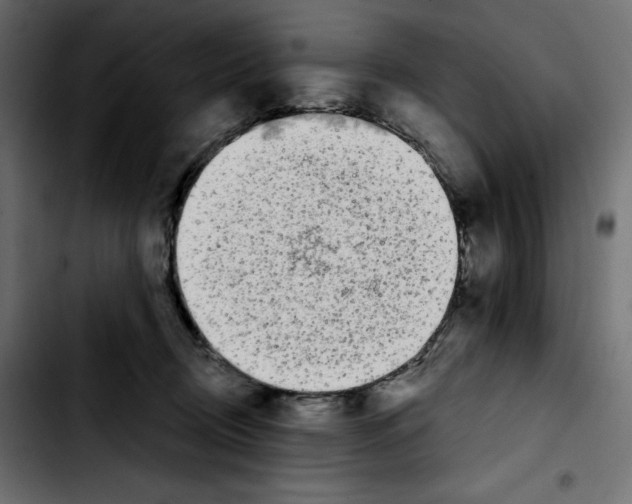X0000103910370200810311438