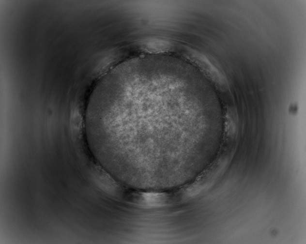 X0000103910371200810311438