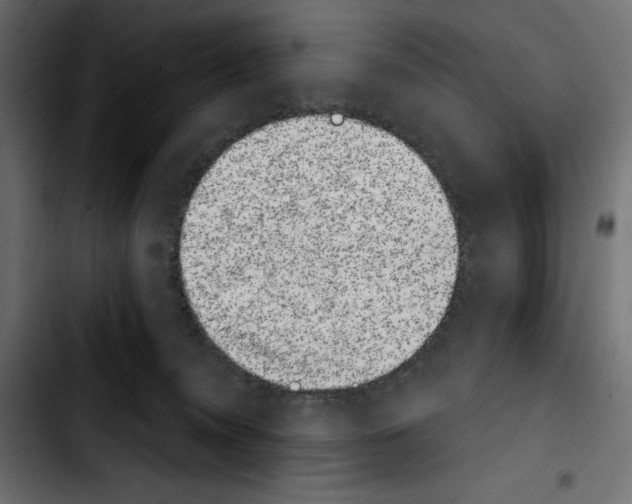 X0000103910372200810311438