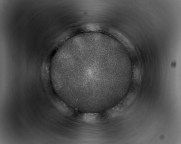 X0000103910373200810311438