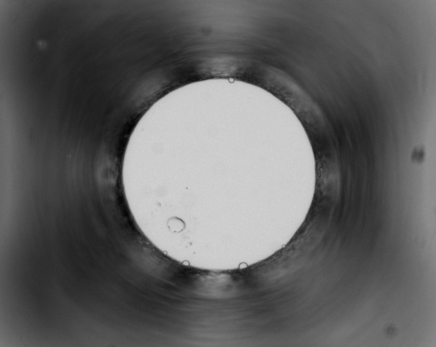 X0000103910374200810311438
