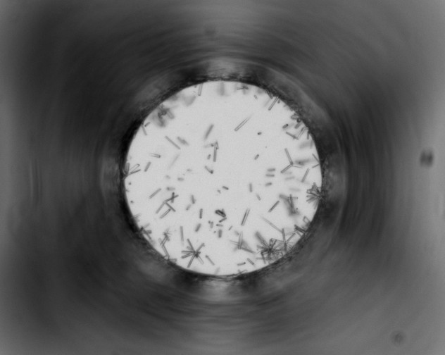X0000103910375200810311438