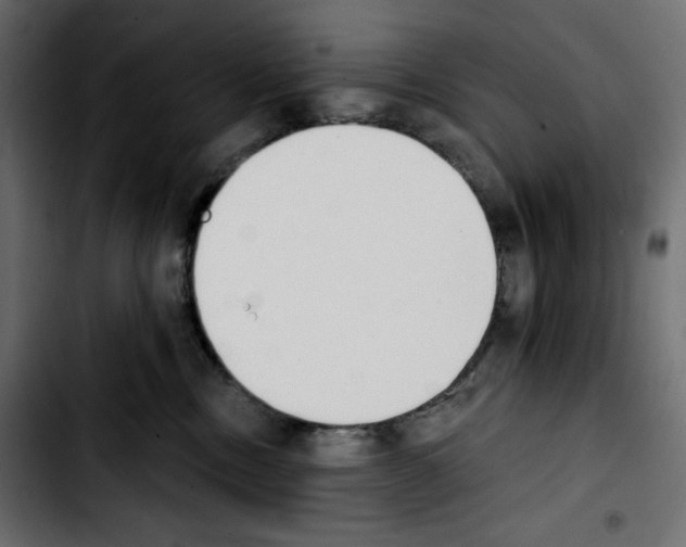 X0000103910378200810311438